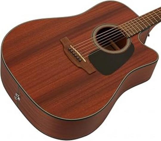 TAKAMINE GD11 MCE NS