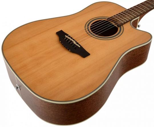 TAKAMINE GD20CE NS NATURAL